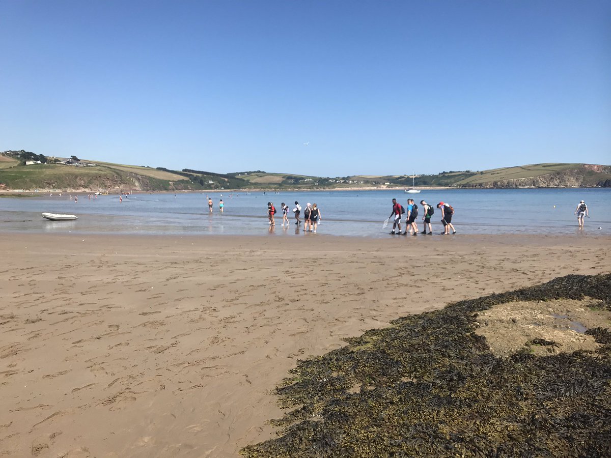 HPHighScience's tweet photo. And the A-level Biology Field Course begins... #HPScience #BiologyFieldCourse #AlevelBiology https://t.co/v0JXkAu5BD