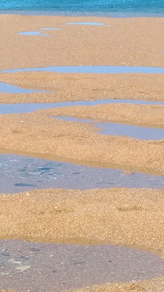 LCoursimault's tweet image. #Renote