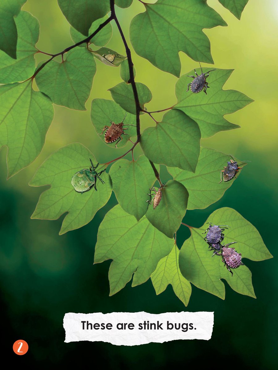 ARC Press tweet media