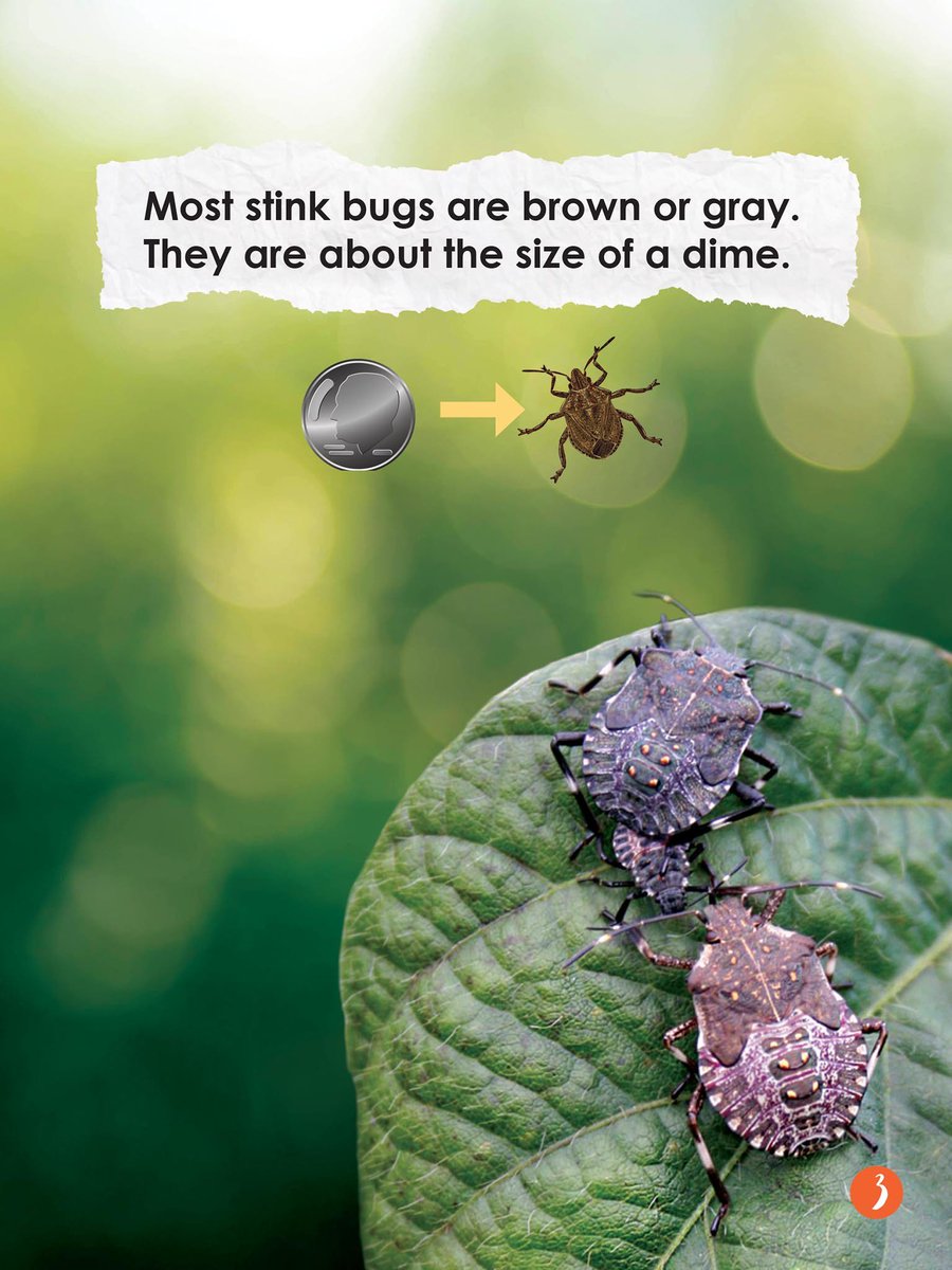 ARC Press tweet media