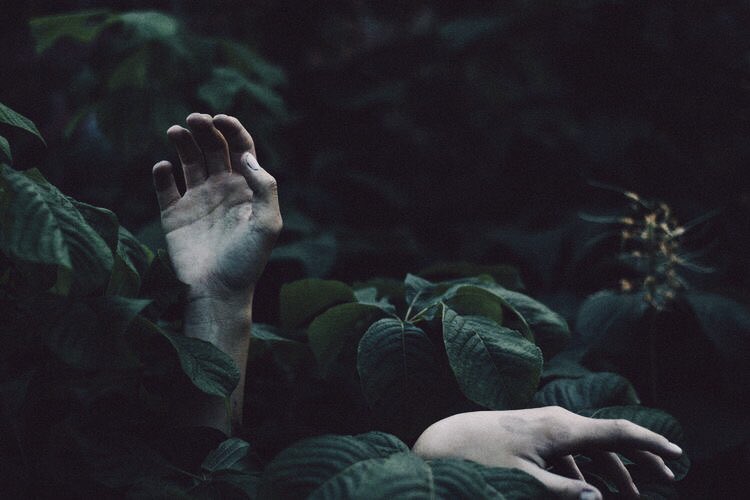 msscongeniaIity's tweet photo. ❴ 𝗺𝗶𝘀𝘀 𝗼𝗰𝘁𝗮𝘃𝗶𝗮 𝗲𝗹𝗹𝗶𝗼𝘁. ❵
; herbologist ; single mom ; hidden.

❧ — 𝑒𝑣𝑒𝑟𝑦𝑡𝘩𝑖𝑛𝑔 𝑠𝘩𝑒’𝑠 𝑑𝑜𝑛𝑒, 𝑠𝘩𝑒 𝑑𝑖𝑑 𝑓𝑜𝑟 𝑒𝑣𝑒𝑟𝑦𝑜𝑛𝑒 𝑏𝑢𝑡 𝘩𝑒𝑟𝑠𝑒𝑙𝑓. 𝑎𝑛𝑑 𝑦𝑒𝑡, 𝑠𝘩𝑒 𝑠𝑡𝑎𝑛𝑑𝑠 𝑎𝑙𝑜𝑛𝑒.

+𝟏𝟎 𝐲𝐞𝐚𝐫𝐬 𝐀𝐔. https://t.co/XfWjwQQ0hR