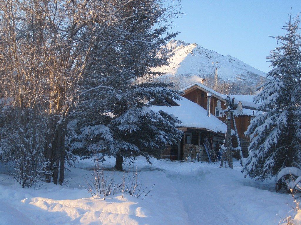 HolidayRoot's tweet image. The lovely #VacationCabin sleeps 4. Owner offers lodging for the vigorous adventurer or the traveler seeking a private hideaway to relax.
#HolidayRoot #Alaska #Travel #Stay #Vacation #Holiday #TuesdayMotivation #AlaskaCabin #Book

Inquire Today &amp;amp; Book! ☺ 
holidayroot.com/accommodation/…