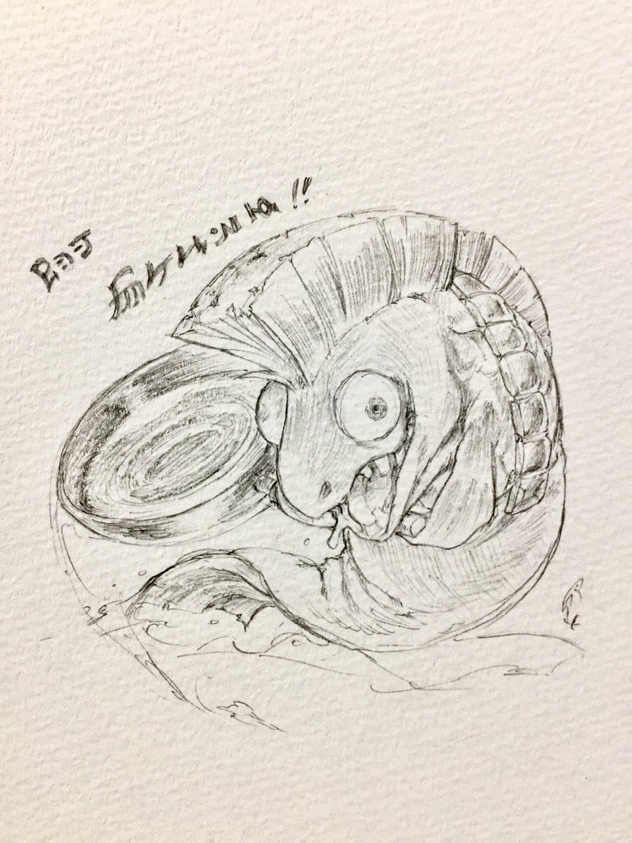 アナログ鮭🐟 