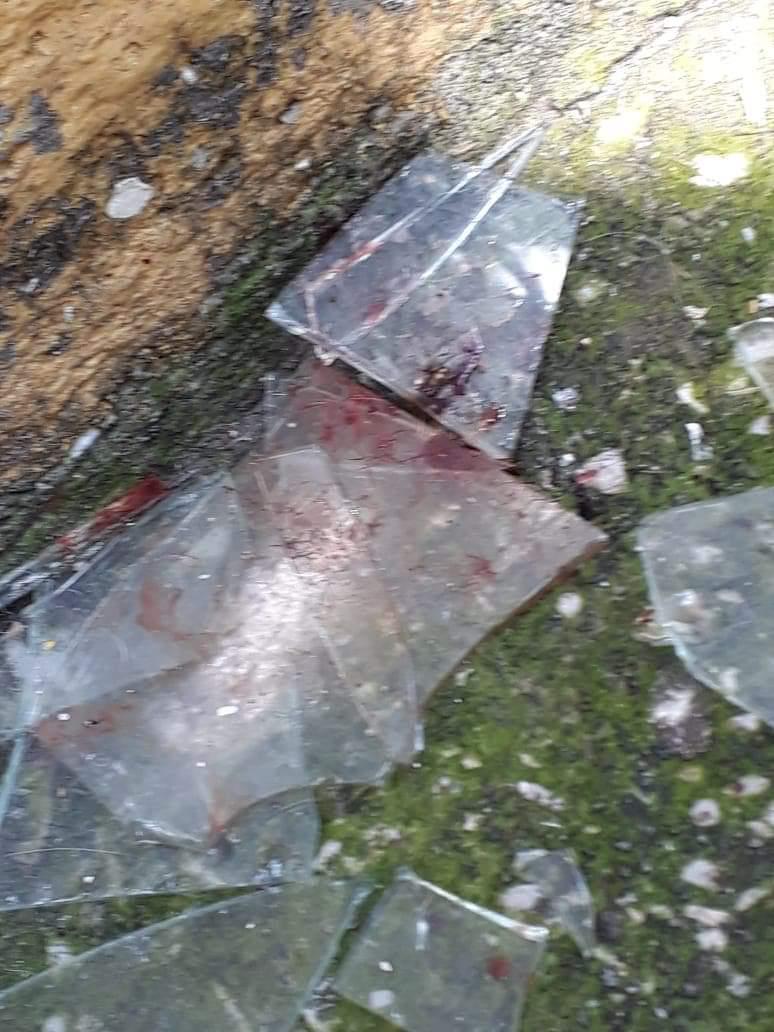 JUSTICIANIMA's tweet photo. AYUDA, ya llamaron al 911, Propaem y ayuntamiento, nadie acude. PERROS ENCERRADOS Y HERIDOS H.U. Fovissste las Águilas Andador Procuraduría de la Republica No. 12 @CuernavacaGob @PropaemMor @prensaanimal4 @MorelosCongreso @SOSanimalista @IndiceAmbiental https://t.co/jHEbn5TtEN https://t.co/79FsS6fji4
