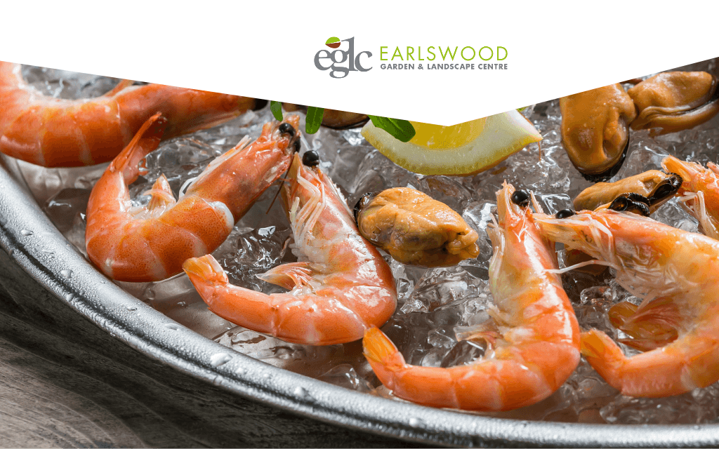 #Love #Seafood #SolihullHour, then come and join us for the launch of the newest concession to join our centre, #SeafoodShack opening Saturday the 13th of July, and enjoy #FREE samples of garlic butterfly prawns and prosecco between 1-3pm (while stocks last)