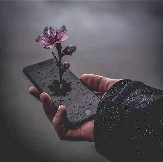 ⁦ziad sukkar 📒⁦✒️⁩ tweet media