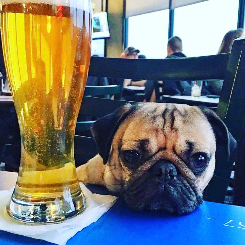 hftatx's tweet photo. @ForeignPolicyTX will be serving at 

@bakfishbrewing 

Beer Cheer night 5:00 pm to 8:30 pm ish 

1231 Broadway St, Pearland, TX 77581, USA https://t.co/jqjlBnNhTF
