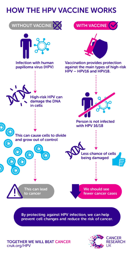hpv causes uk