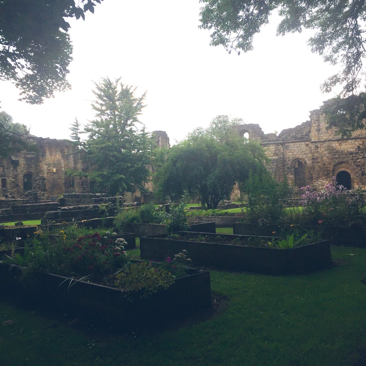 lifestyledbyj's tweet photo. When your walk home from work has stunning views like these, I don’t mind it taking me 1.5 hours power walking 🍃 #walkfromwork #leedslife https://t.co/LRFUGvLj3t