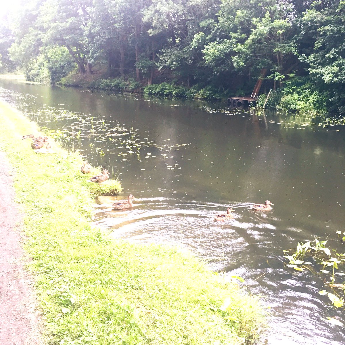 lifestyledbyj's tweet photo. When your walk home from work has stunning views like these, I don’t mind it taking me 1.5 hours power walking 🍃 #walkfromwork #leedslife https://t.co/LRFUGvLj3t