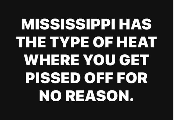 Stone_Status's tweet image. 