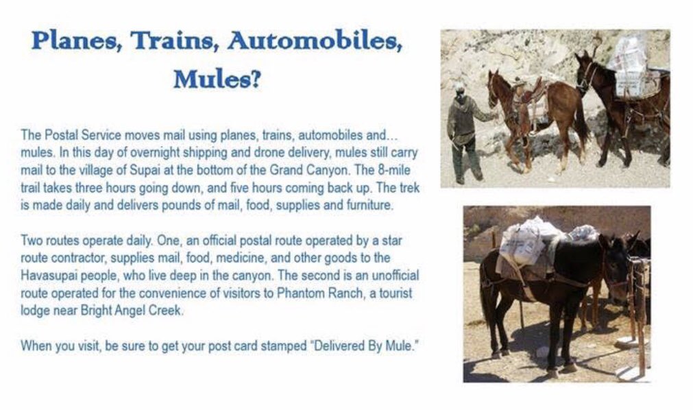 Lenorah Tarzan Post Office (PostTarzan) Twitter