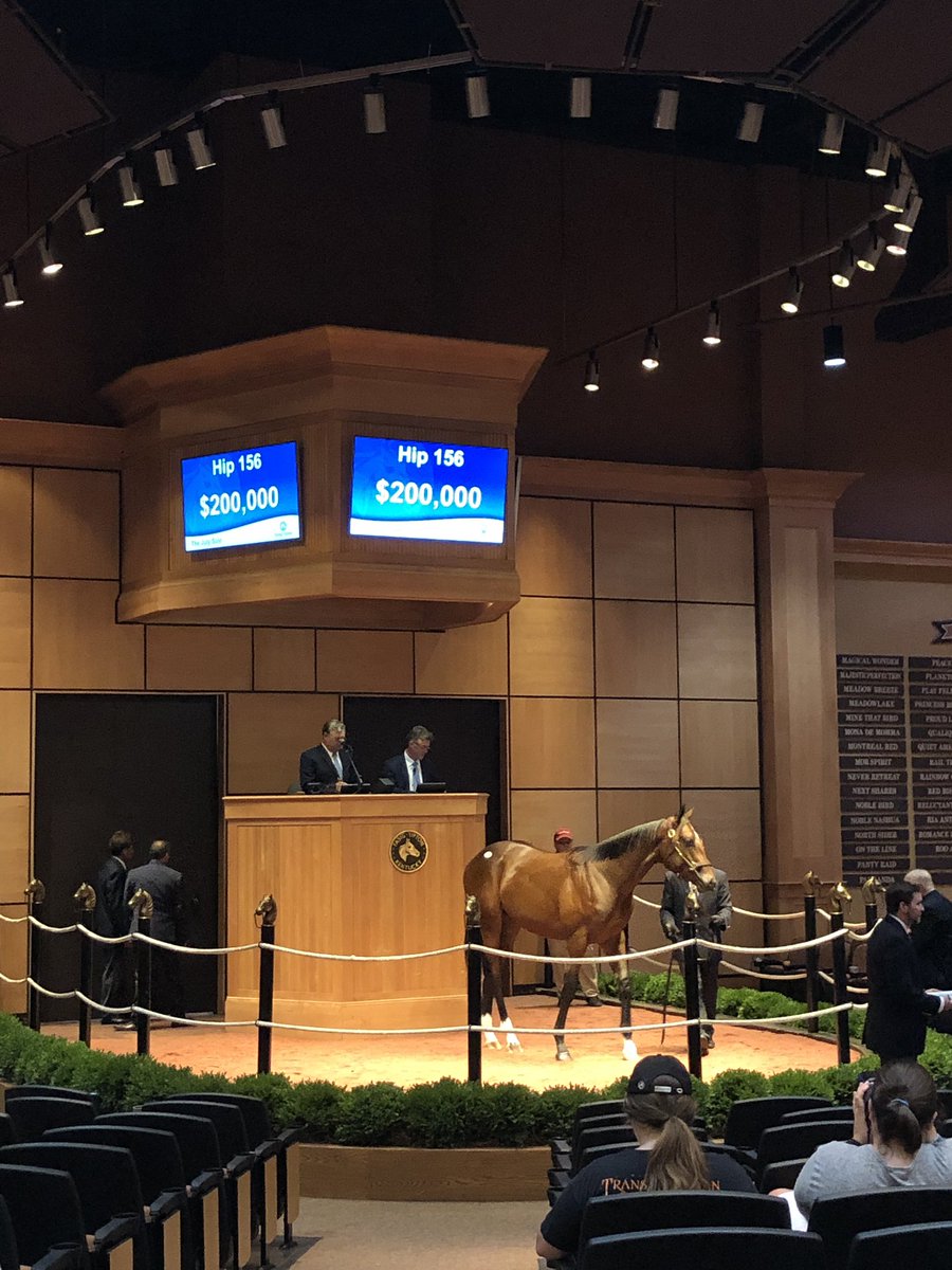 TaylorMadeSales's tweet photo. Randy Bradshaw goes to $200,000 securing a stellar Not this Time out of Business Decision @FasigTiptonCo @TMStallions @TaylorMadeMark #tm4u https://t.co/zjwfKh67Wk
