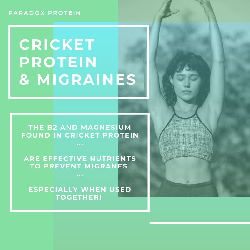 AchetaFarmsPR's tweet photo. NEWS! The B2 and Magnesium found in cricket protein come together to create a killer combo for preventing migraines! 😄🎉

Many users have noticed an incredible difference. Fight your migraines and conquer your day! 💪

Use the code: MIGRAINE for 10% off! 
https://t.co/mNyoJI8uEX https://t.co/UbzNGL92dH