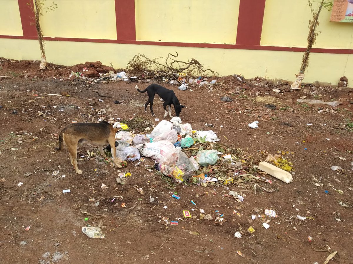 bidarrevolution's tweet photo. Open Garbage dumping & burning many places in Bidar
@karnatakapcb or @CPCB_OFFICIAL should take seriously action on CMC for not cleaning or stopping people for open garbage dumping & burning...
@moefcc should interfere to save environment in Bidar City..
#savebidar #pollution https://t.co/bYoaMK85Uh