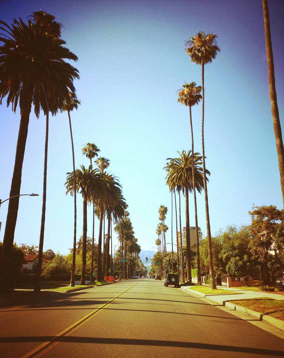 LA🌴