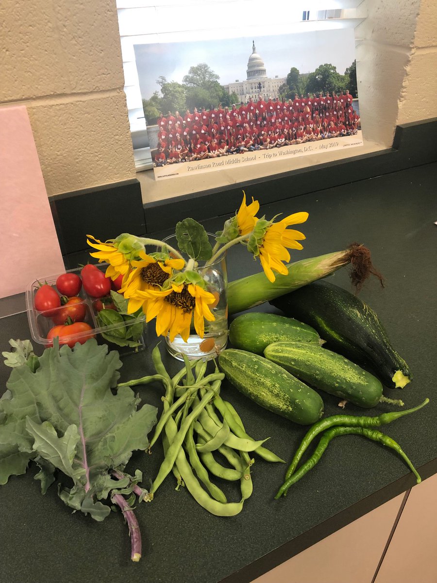 RawlinsonRoadMS's tweet photo. Look what’s growing in our garden! #schooltotable #HealthyLiving #wholechild #RaiderPride #OneTeamOneMissionOneRockHill https://t.co/t6HJd58pAr