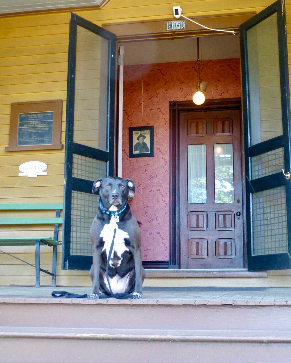 TheWrensNest's tweet photo. Muldoon is ready to start this #TuesdayTours! Are you? This month, let Joel Chandler Harris's beloved #dog show you around The Wren's Nest on Muldoon's Tour!
#museumtours #dogtour #dogs #dogsofhistory #history #historichomes #atl #thingstodoatl #westendbestendatl #familyfun https://t.co/J8AHh9xhf3