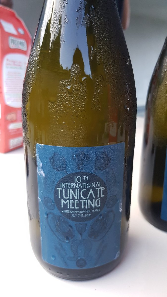 isawithoutbel's tweet photo. 1st poster session with special Prosecco #Tunicate2019 https://t.co/NywoaBu6ng