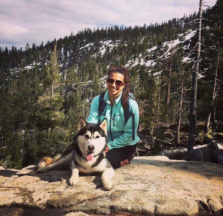 Important update for visitors camping with #dogs in #DesolationWilderness. A great gnat hatch is occurring in the #backcountry and while they do not seem to biting people, they are feasting on the pups out there. Read more at facebook.com/LakeTahoeUSFS/…. <a href="/HumaneSocietyTT/">Humane Society</a> <a href="/EldoradoNF/">EldoradoNF</a>