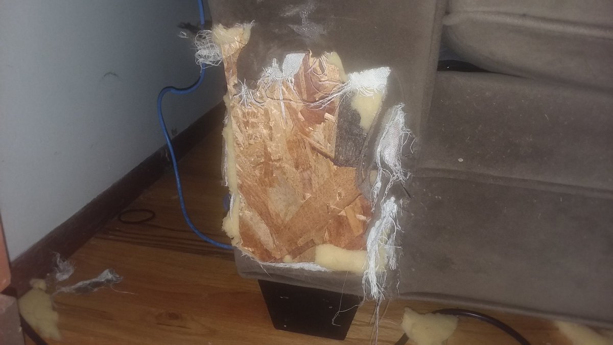AMBeats3's tweet photo. Puppysitting till my neighbor gets home. Her dog killed her 3,000.00 couch. He killed the couch, shredded a roll of wrapping paper, paper towels, and other stuff. @OmarGoshTV @Tiph1981 @BunniHopper1 @JamesTheFAM Its going down when she gets home, she pissed at her dog. https://t.co/LJAwPEVXra