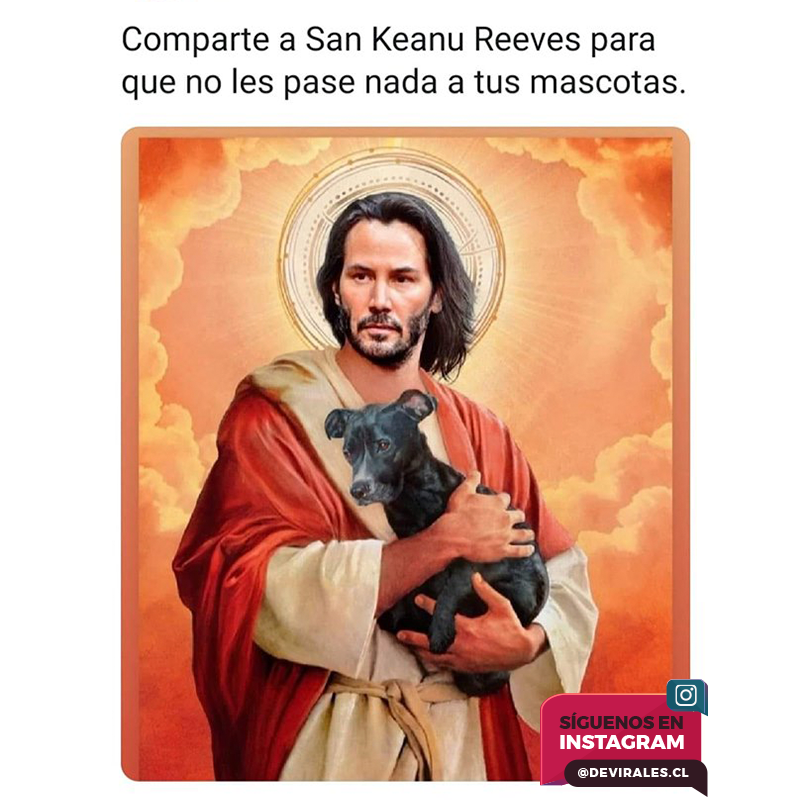 devirales's tweet photo. Santificado seas Keanu! 😍🐶😇 #memeschile #humorchile #mejoresmemes #memesgraciosos #memesespañol #devirales https://t.co/AC8O7Q6rKd