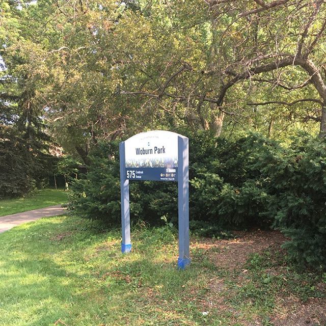 Every Park tweet media