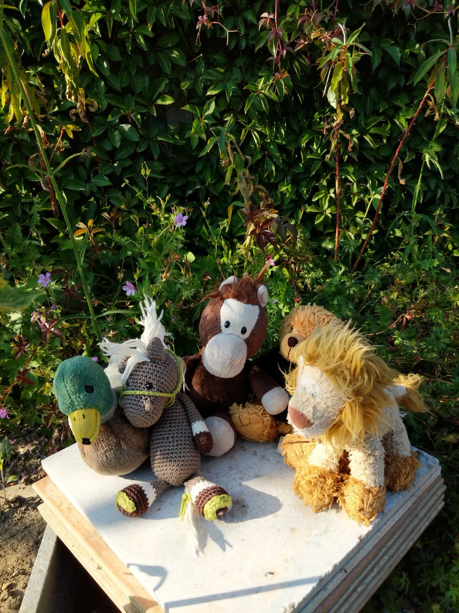 So after someting to eat, @ReisePferdich and Zuppi, with Billi <a href="/Fidospride/">Fidoandfriends</a> , we went out into the garden for a chat to catch up!