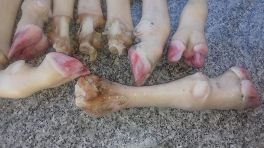Broken_eggz's tweet photo. @djsbu Buy directly from us,
1. cleaned sheep feet R3
2.Cleaned Sheep heads half is R50
We are based at Westonaria.
#DJSBU https://t.co/elne9UDTFt