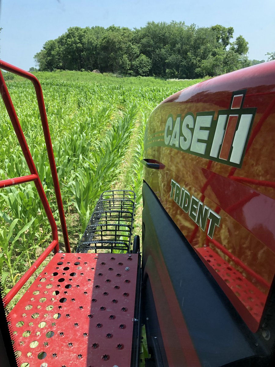 TripC08's tweet photo. When the corn needs fed, who you gonna call? @JennerCompanies! Thanks to the @Case_IH #Trident with a NL4500 dry box from @NewLeaderEquip the we can feed the corn itโs late season nitrogen! #spread19 #feedthecorn #demoszn https://t.co/FzkuB5Ge8K