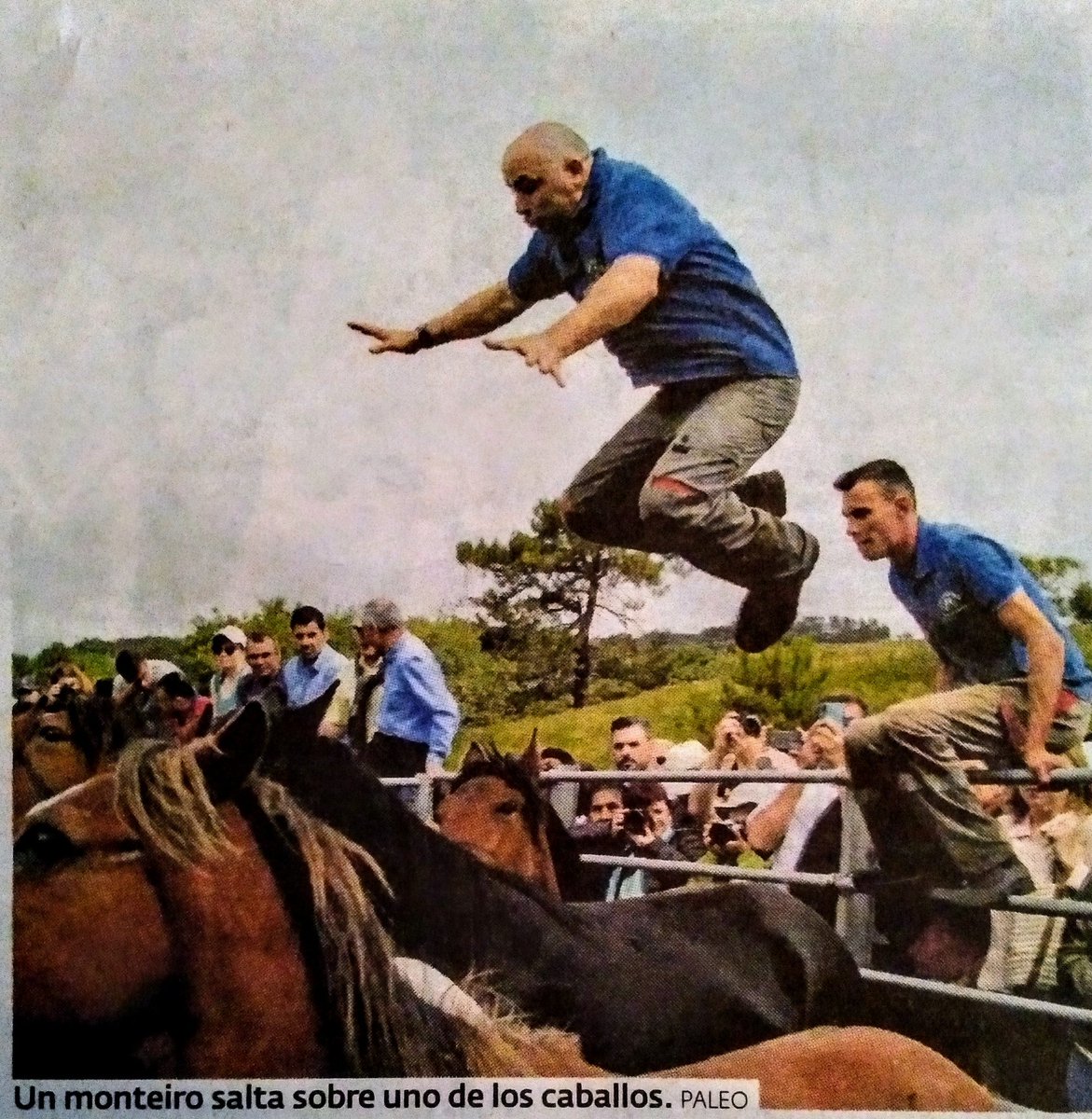 Ailolailo64's tweet photo. Vaia foto guapa de #Paleo ! 😍
#RapadasBestas 🐎 de #Boimente
#Candaoso 🐎 #Viveiro 🐎
(Na @AMarina_EP) https://t.co/gihd60zGdD