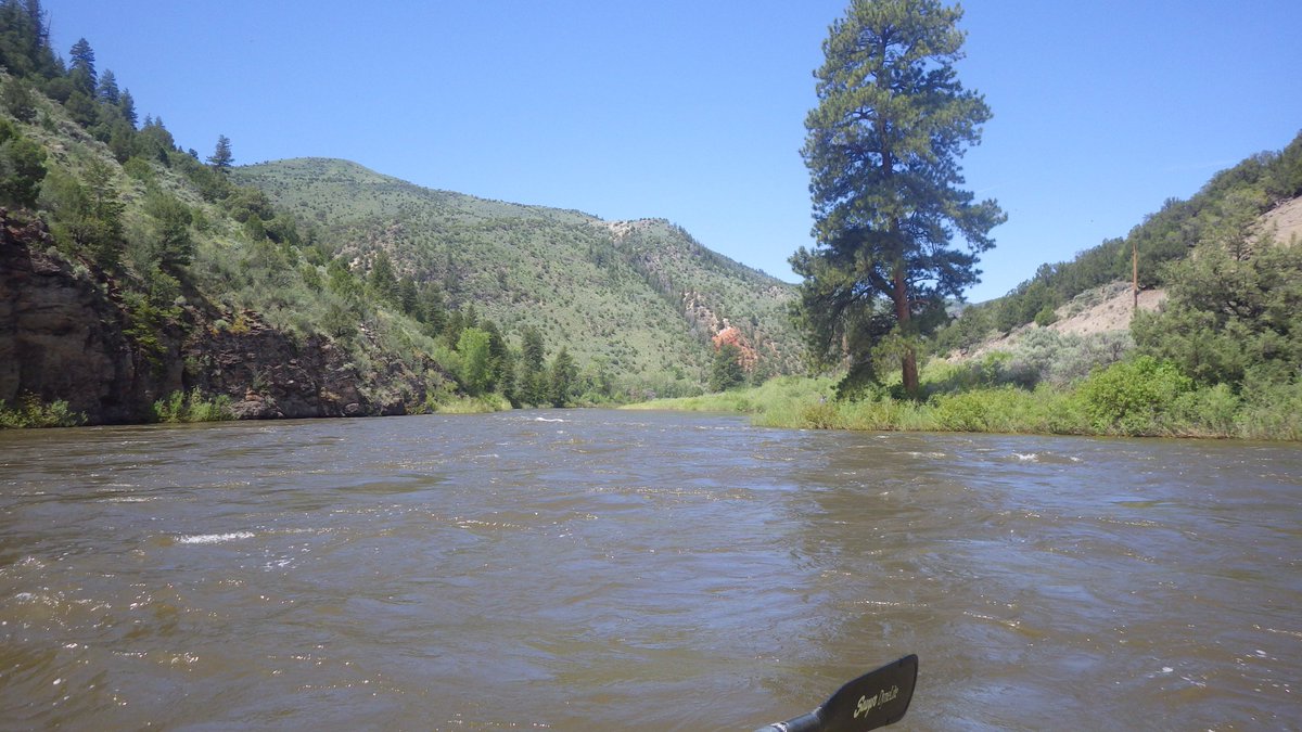 mgooseff's tweet photo. The #rivercorridor changes a lot from the mountains around State Bridge, CO to Moab, UT. Irrigation is consistent, but far more strikingly noticeable in the lower desert sections of the river. https://t.co/xLbsZ9N3tz