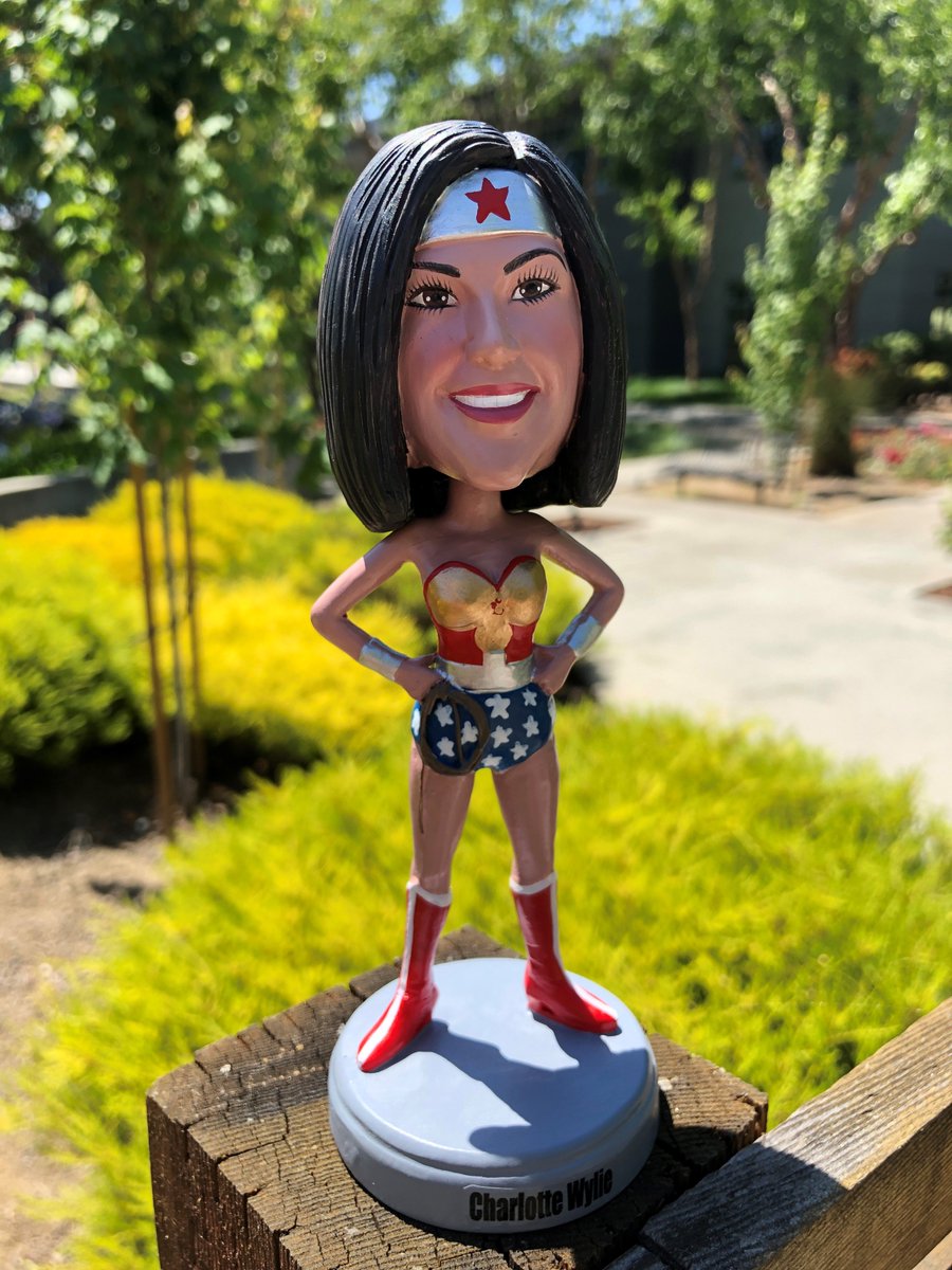 Forescout's tweet photo. Congrats to Charlotte Wylie, @symantec’s Sr. Dir., Global Security Ops on being our July #FSRefRockstar! As the Wonder Woman of the security world, Charlotte believes visibility is the first step to segmentation and control.
Read more here: https://t.co/vHoggE53lo https://t.co/evCzlO0ODF