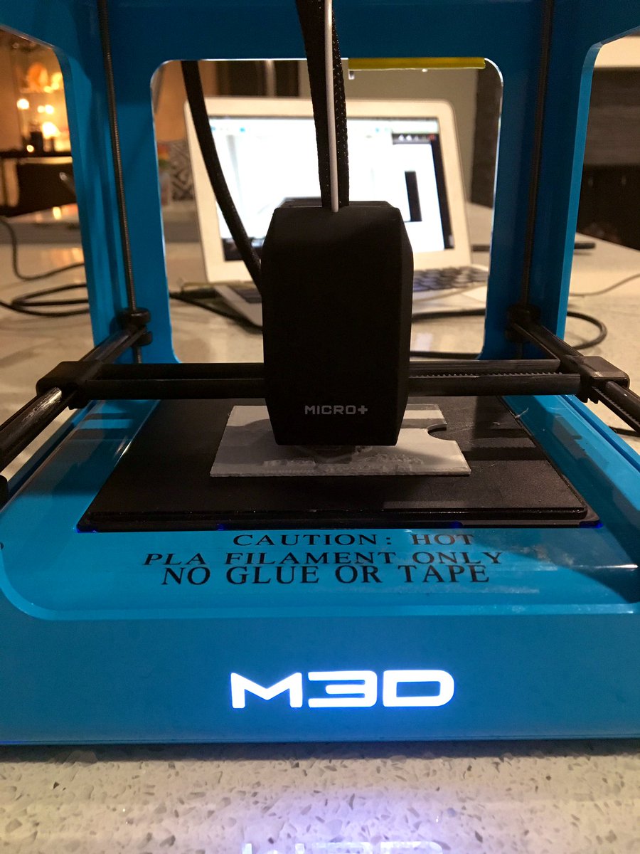 Just 3D printing a few Tubmans for circulation