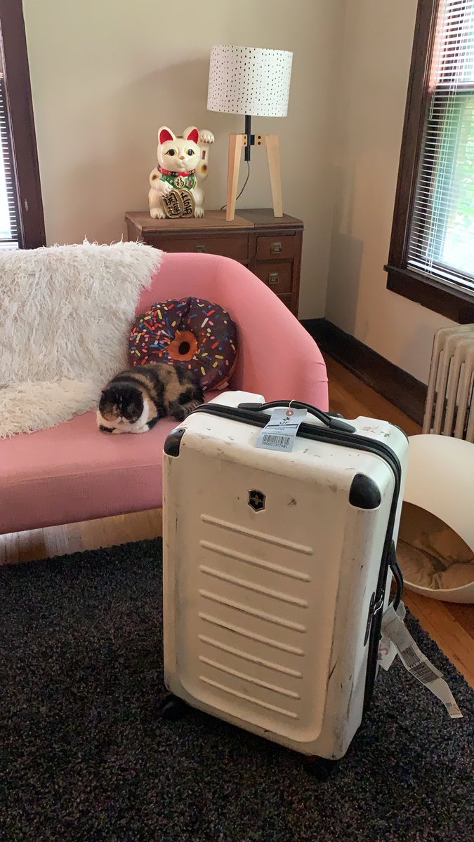 Pudge the Cat tweet media