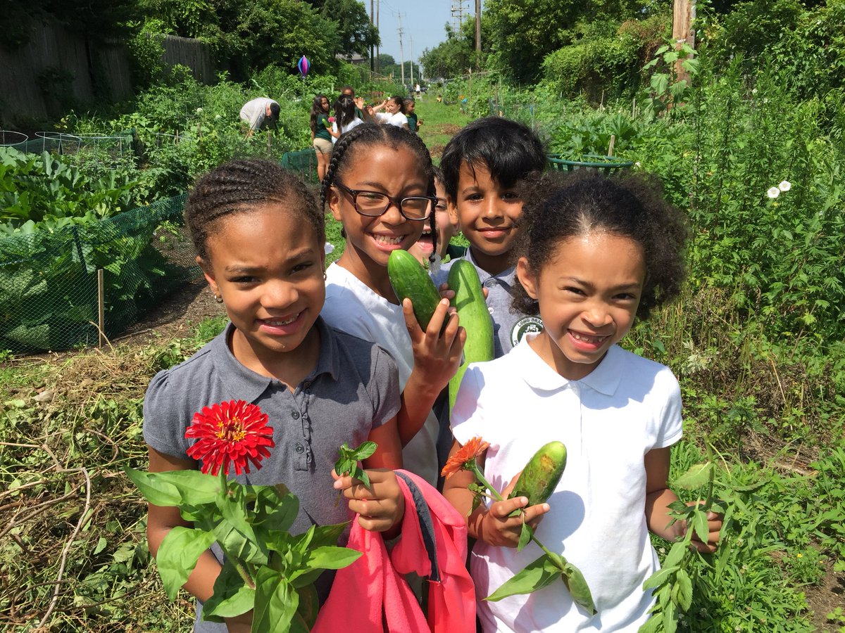 michele_morey's tweet image. Thank you @LongBranchEC for a great time in the community garden today! @greener_glc @MelanieLBPS Summer Camp goes green! 🥒🥬🥦🥝🌱