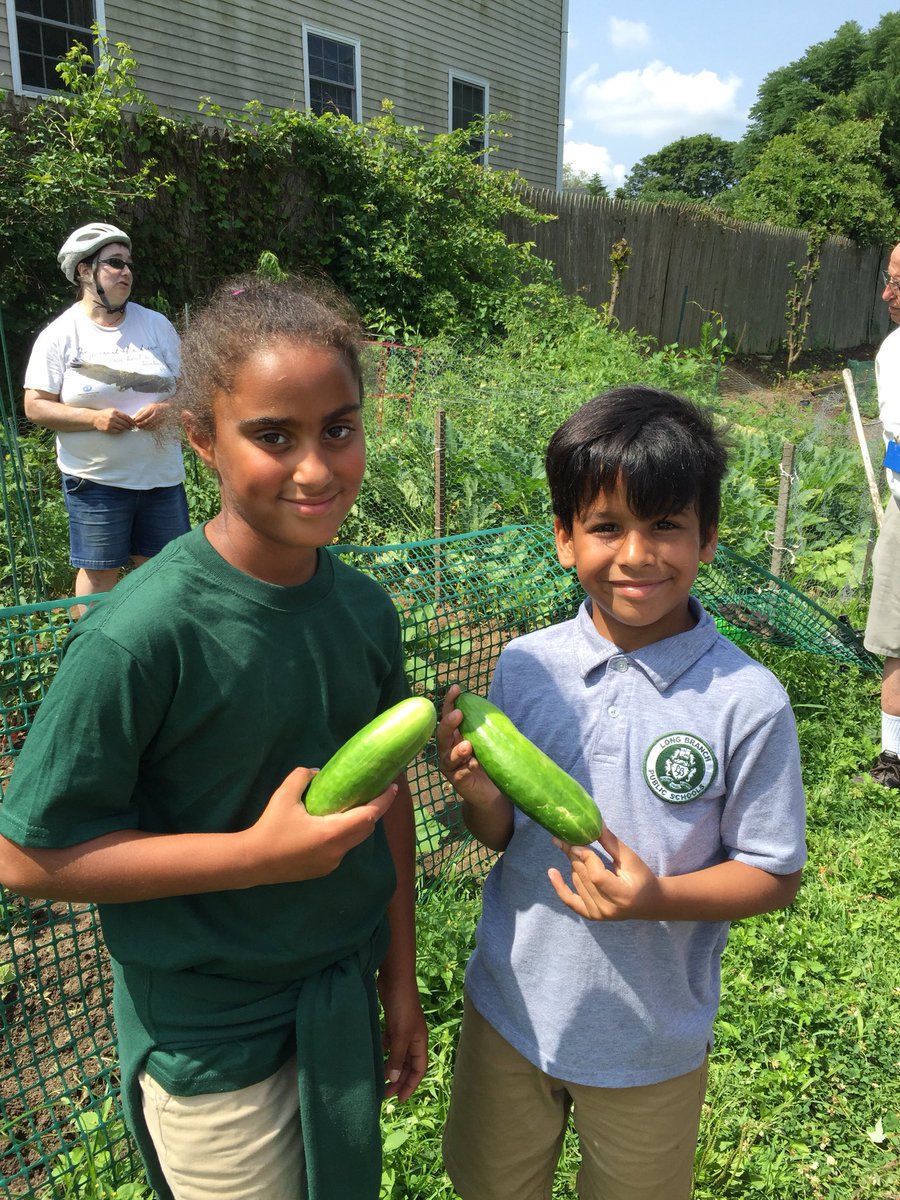 michele_morey's tweet image. Thank you @LongBranchEC for a great time in the community garden today! @greener_glc @MelanieLBPS Summer Camp goes green! 🥒🥬🥦🥝🌱