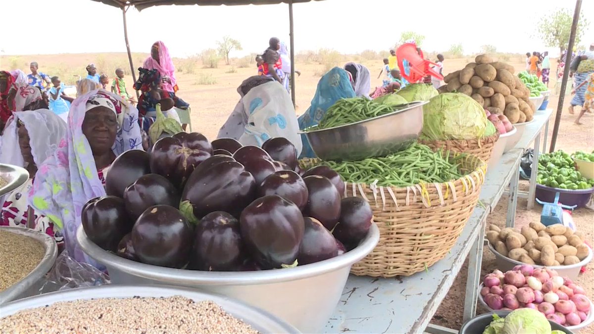 HAlainsawadogo's tweet photo. Au Burkina Faso, la production agricole est l'un des secteurs pourvoyeurs d'économies pour les femmes. Regroupées en associations ou en coopératives, elles exploitent des dizaines d'hectares aux côtés de leurs maris. #bnuel #agriculteurs #femmes #agribusiness #lwili https://t.co/2QIvWZPYiU