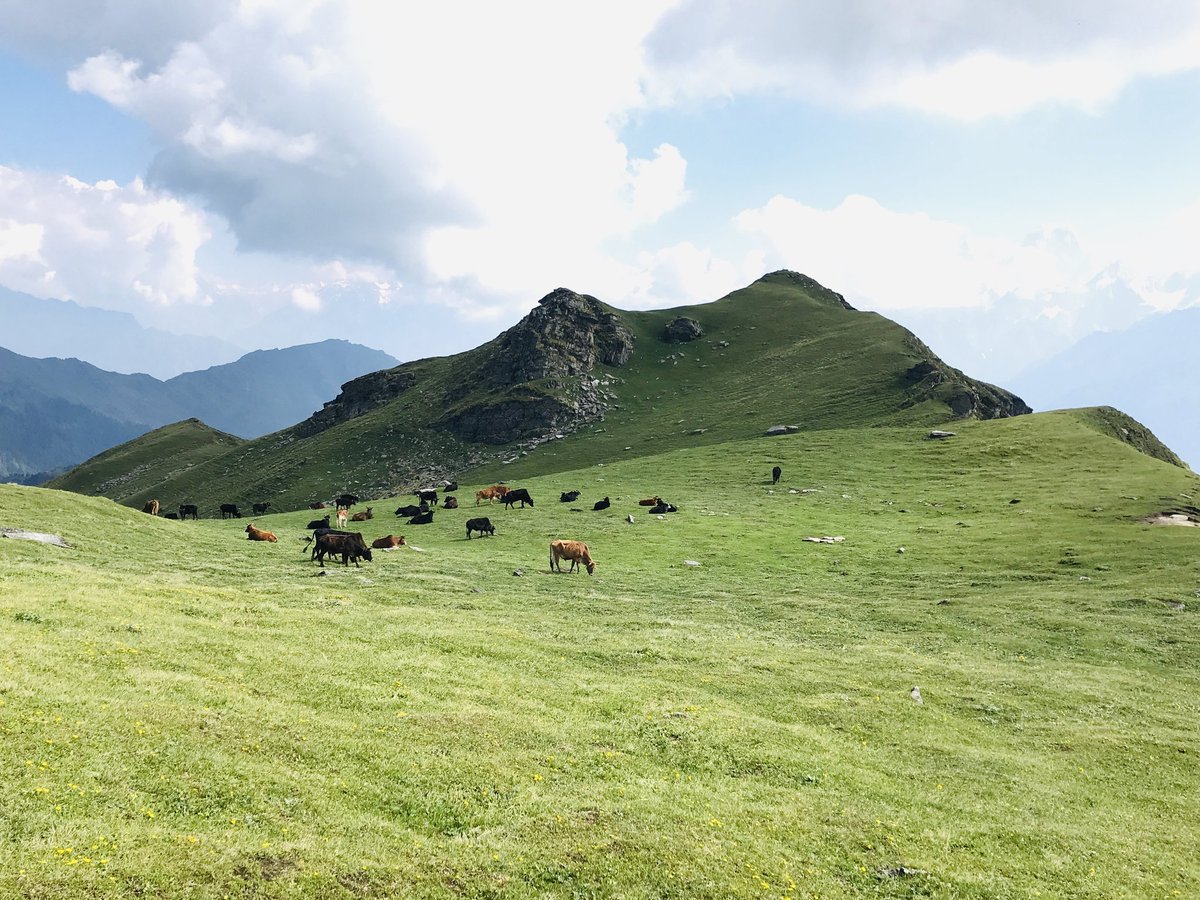 GauravR40384904's tweet photo. ❤
#pangarchulapeak #trekking #dostlog 
#Himalayas #travelphotography https://t.co/0pwr03TOrB