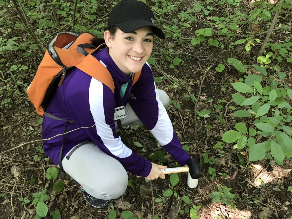 Center for P-16 Research and Collaboration tweet media