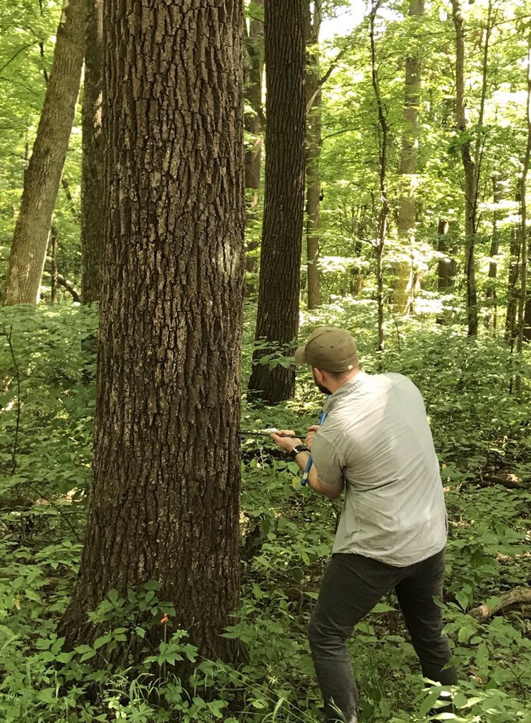 Center for P-16 Research and Collaboration tweet media