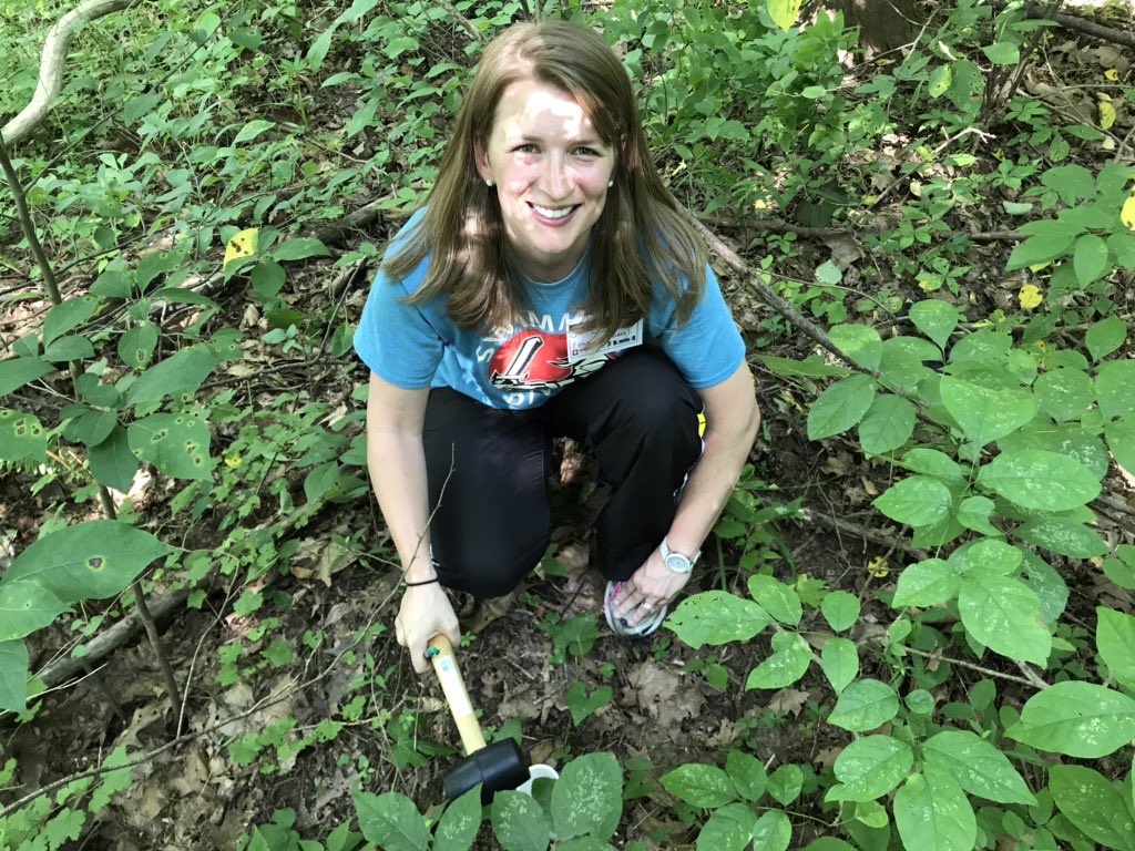 Center for P-16 Research and Collaboration tweet media