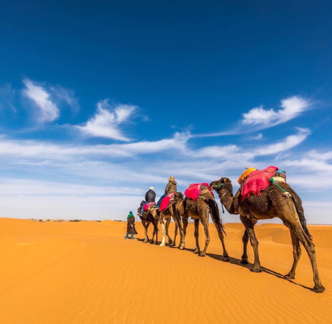 MoroccoEye's tweet photo. #ألوان_مغربية من #عين_على_المغرب
🇲🇦🌴🏞️🛣️
🔹انضموا إلى مجموعتنا في تليجرام.
🔹استفسارات
🌏خريطة سياحية للمملكة المغربية 🚩
 🔍
@MoroccoEye 🇲🇦
⬇️
https://t.co/ZMhnderQPh
@deliasailles
🕊✨🇲🇦🗺🎨 https://t.co/rrx1lLviAn