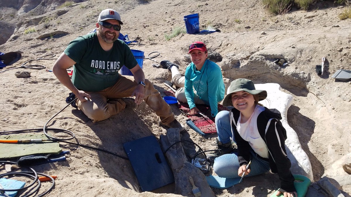 Joshua Mathews on X: "And a few more from the Hanksville-Burpee Dinosaur Quarry. #Hanksville #UtahPaleo #BLMPaleo #BurpeeMuseum #MarsSociety https://t.co/D5OVKhKuLb" / X