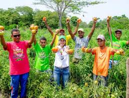 🗣️#DialogoEsPaz #DialogoTrabajoYProducción 
❤️Hay que trabajar la tierra, ella nos dá todos los nutrientes necesarios para vivir. Agua, frutos, proteinas varias!!!! a Cuidar el planeta que es nuestro hogar 🥰 @NicolasMaduro  @memolidicandia @gochito2014  @AbuelaPatria @CabYenni