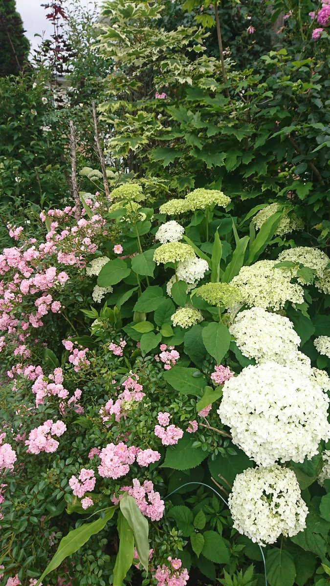 ywOIjTRk3K3vHc3's tweet image. おはよう〜☆
久しぶりに 晴れ🌞
良いこと 有りそっ ✨

生き生き行きましょう✨⤴️

私は今日は、❇️マネタス❇️day ！
     マネタスは ウキウキなんだょ✨
    マネタスは 楽しいんだよぅ✨
              不思議だけど!💫
               スゴいの✨✨
気になるでしょ〜☆
member.money-plus.jp/t/udnDlk/gPvbi…