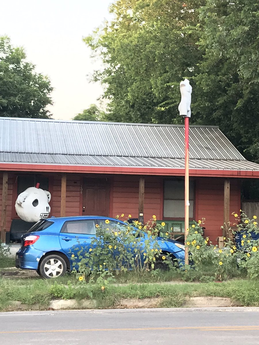 greykitsune's tweet photo. Meeting the new neighbors in #northloopatx https://t.co/I9WAf739pz