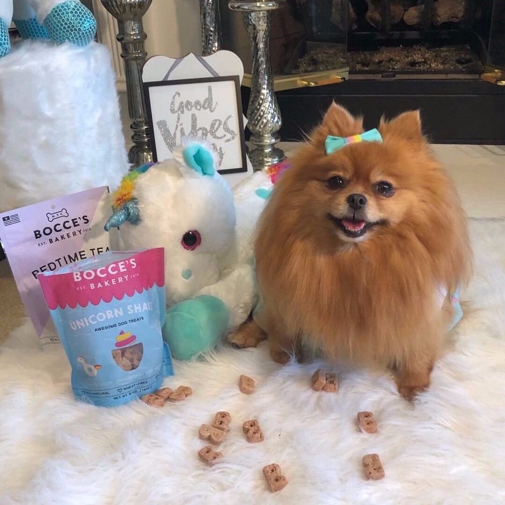 KeystonePet's tweet image. We're wishing you &amp;amp; your pup a very magical week (filled with lots of Unicorn Shake treats 🦄) @BoccesBakery @thepompompack