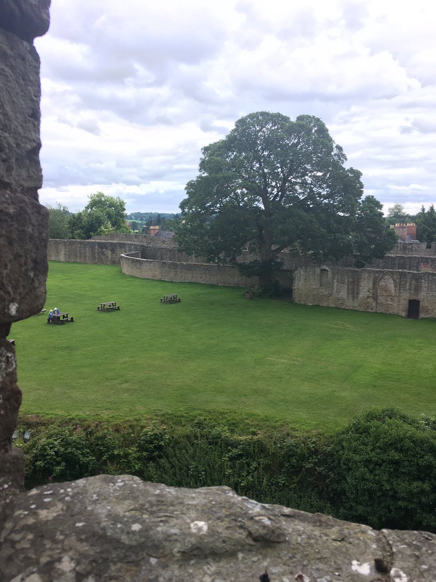 RC Brady tweet media