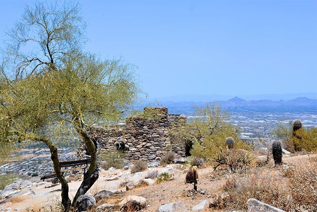 ConradDeWitt2's tweet photo. Barrel Cactus 🌵 overlooking #phoenixarizona .
.
.
#picturesque #landscapephotography #sceniclandscape #instagram #instagramaz #igeraz #igersphoenix #barrelcactus #mountains #blueskies #desertlandscape #capturearizona #getoutside #nikonusa #divine_des… https://t.co/FWUldo7ytw https://t.co/0RvS1hpOo1